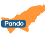 Pando
